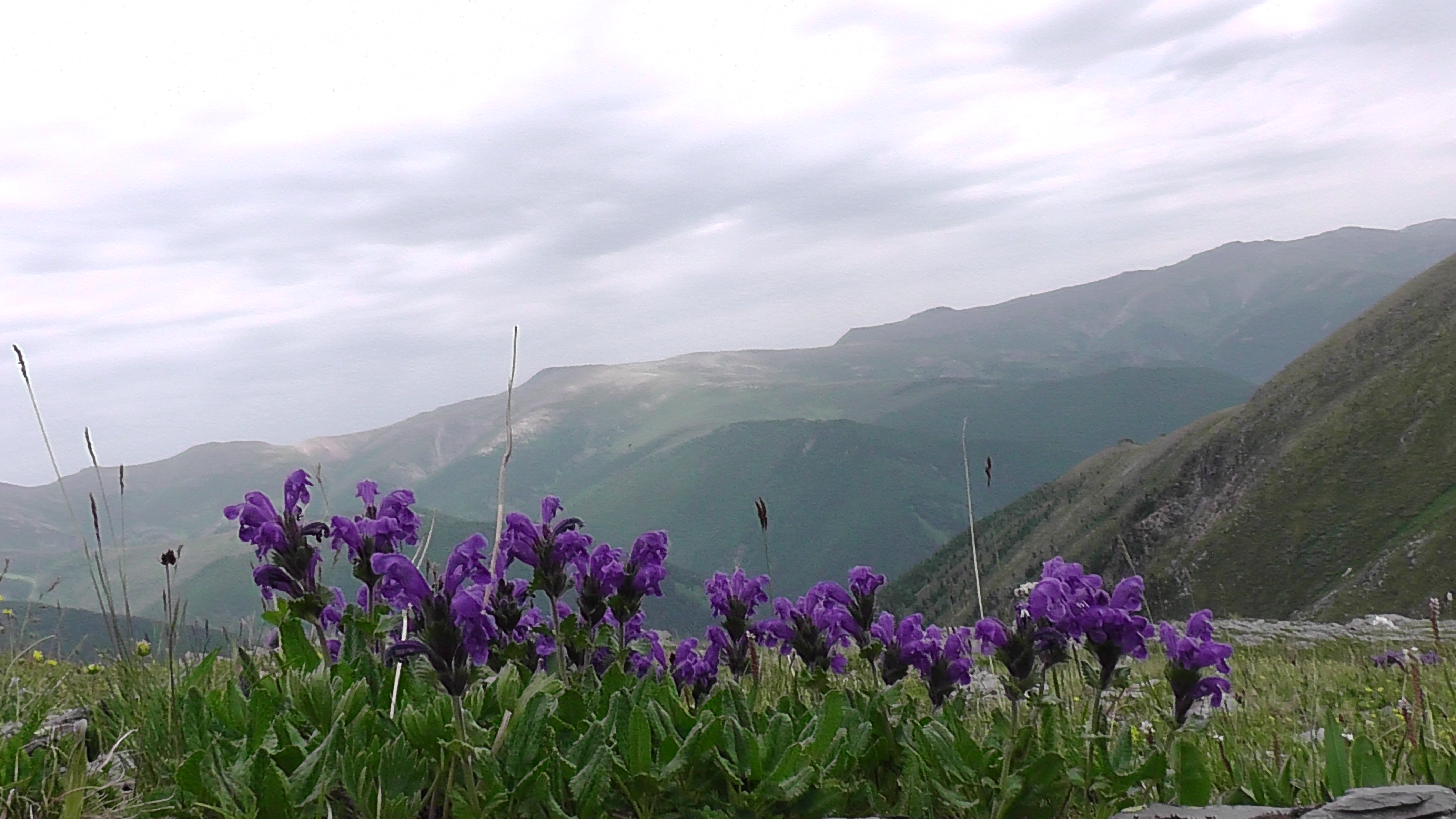 Горный Алтай