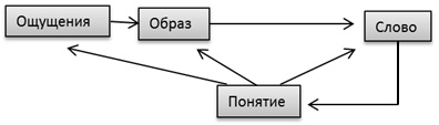 Схема работы полушарий мозга