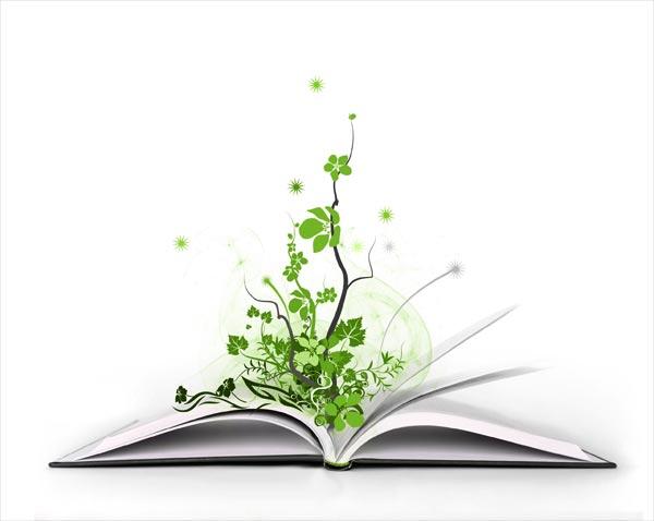 книга как мир